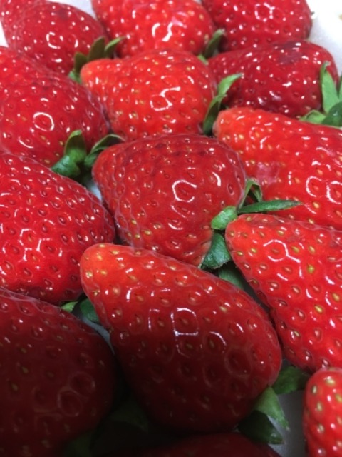 やさごろも さま