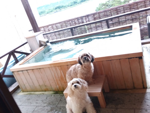 キャンモカ さま