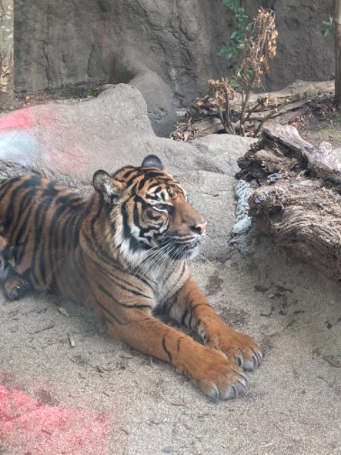 ゆうーちゃん さま