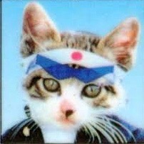 がんちゃん さま