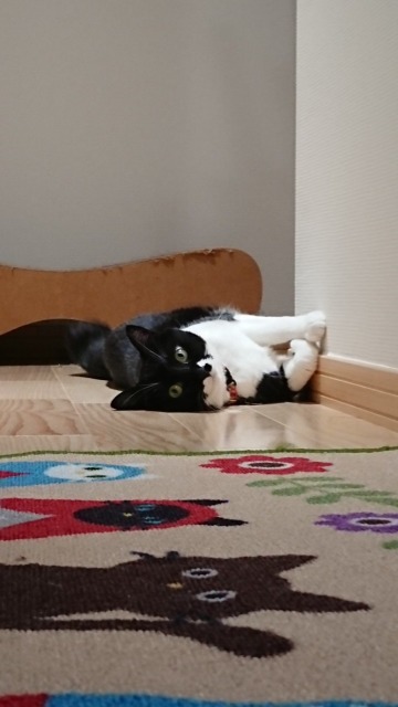 くりはらちひろ さま