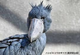 かっちゃん さま