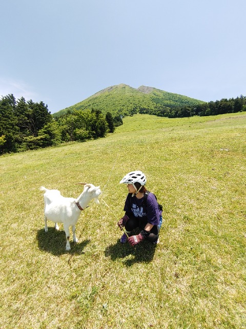 ハナちゃん さま