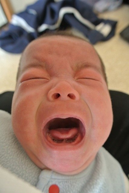 たっちゃん さま