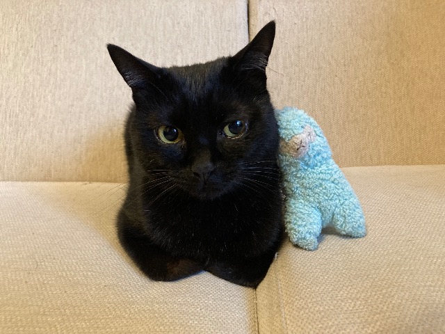 さとみ さま