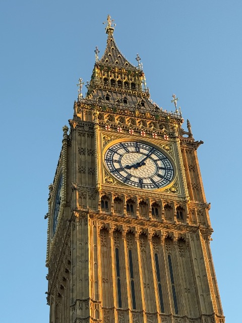 平成たぬき合戦ぽんぽこ さま