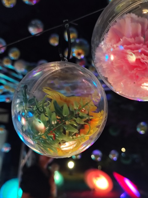 ぼんちゃん さま