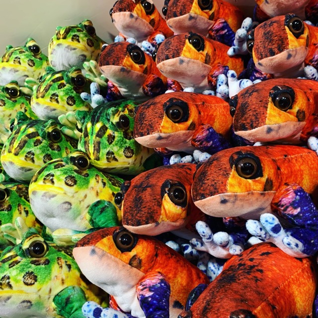 遊びたてNa さま