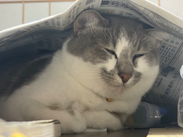 じゅんじゅん さま