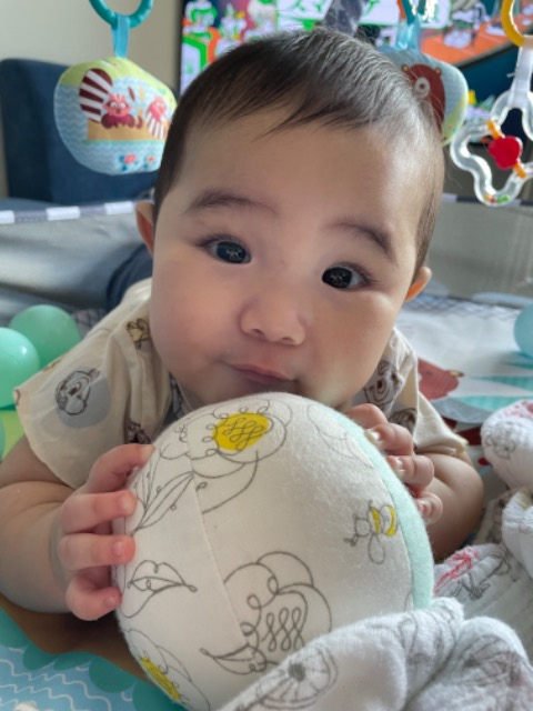 いのたろう さま