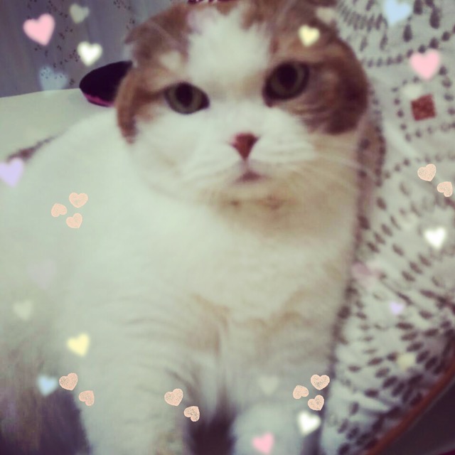 アソビュー！ゲストさとち さま