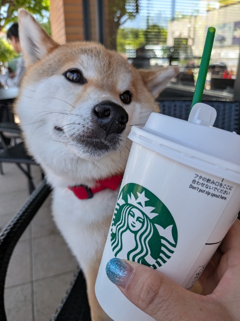 パン大好きさん さま