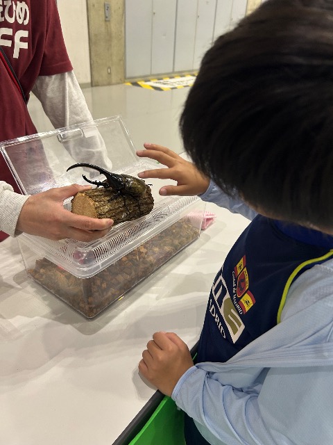 かぶにし さま