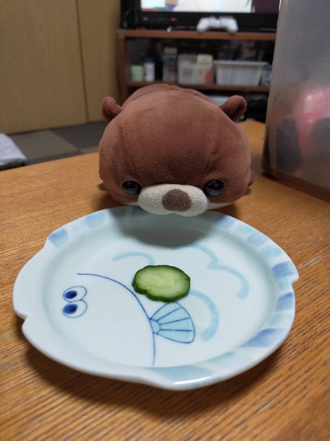 ﾈｺﾁｬｯﾁｬ さま