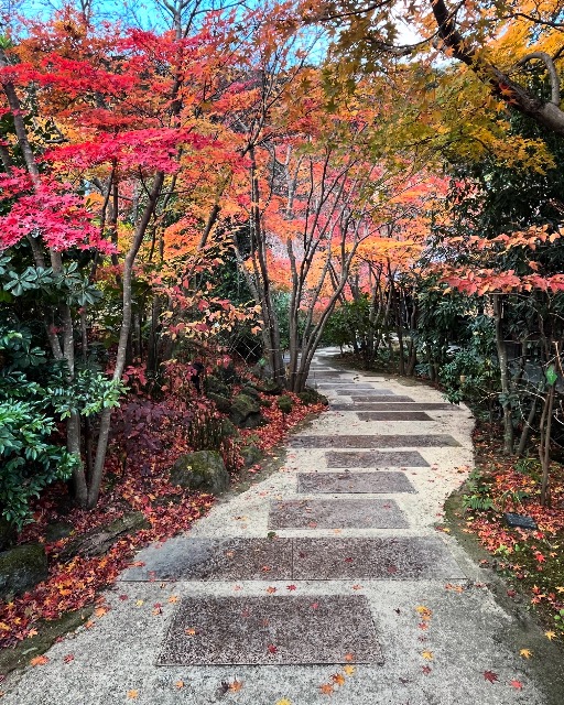 アソビューK さま