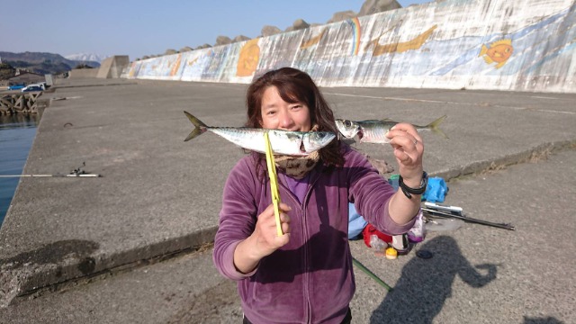 きょーこちゃん さま