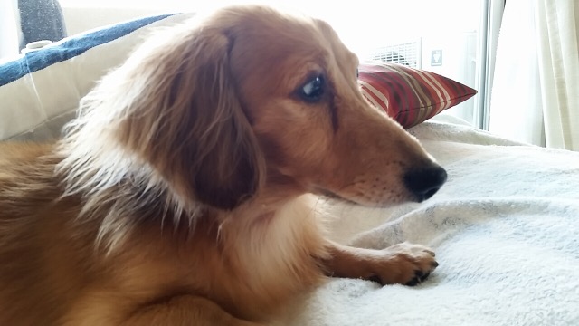 yamakazoo⭐︎ さま