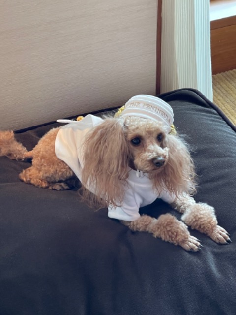 たけるさん さま