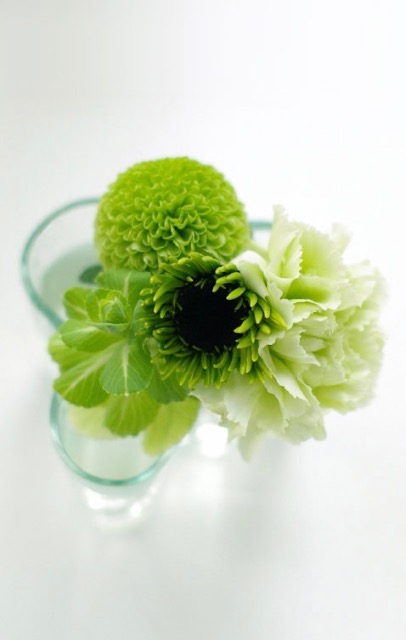 かしまさよし さま