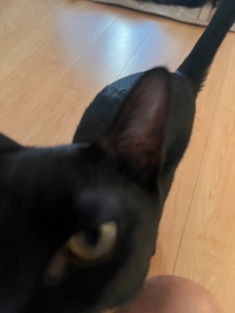 きらいち@雪民 さま