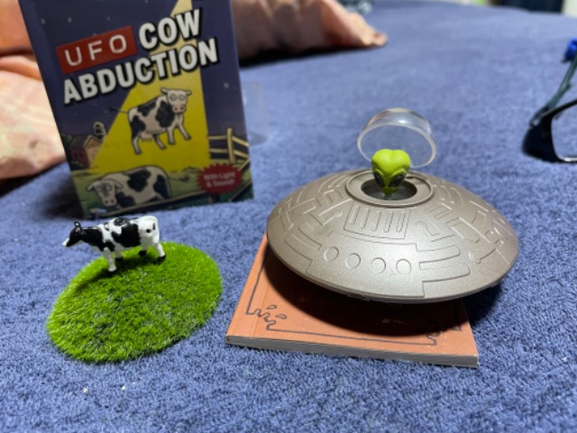 サメハダー さま