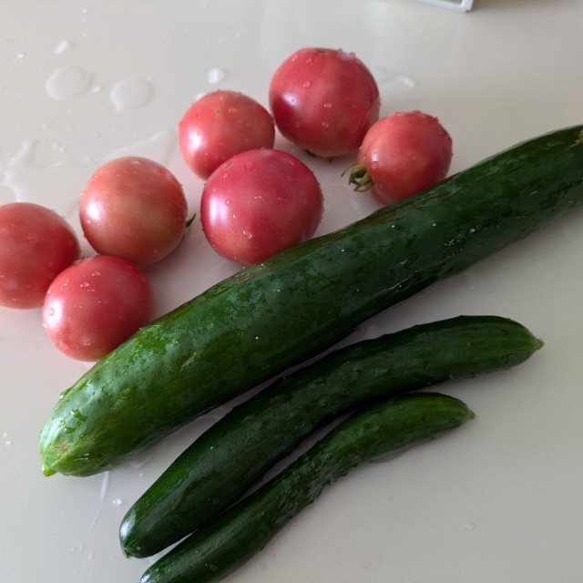 トンキー52号 さま