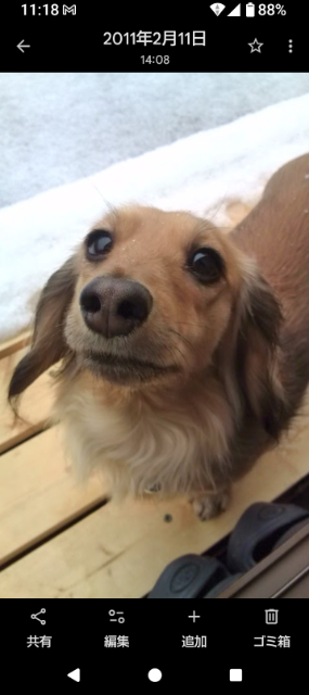 なちこ さま