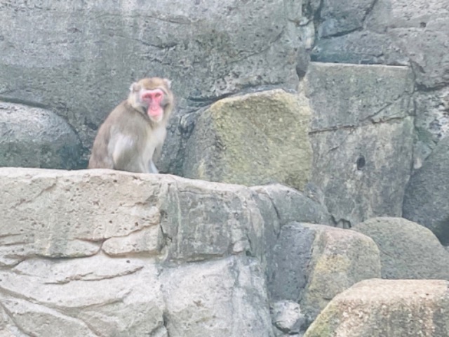 たうのすけ さま