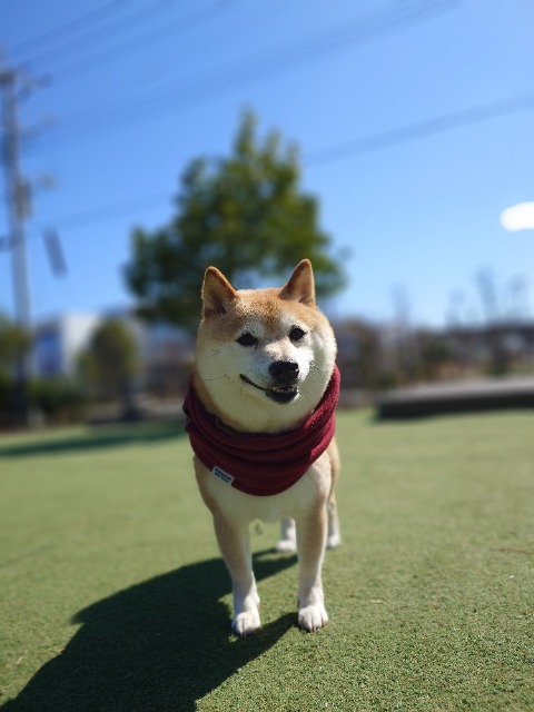 たぁ さま