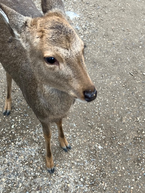 寄り道最高 さま