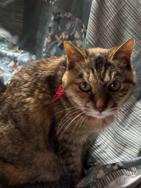 さちとらら さま