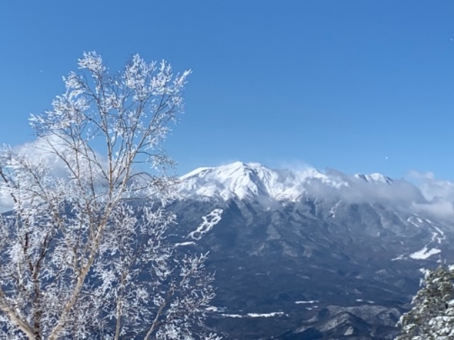 kekepapa さま