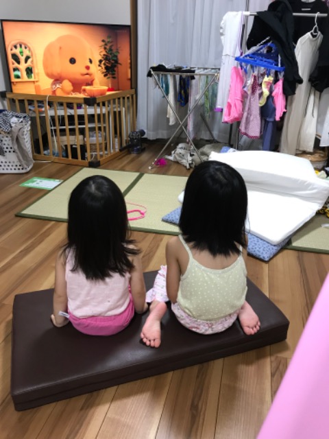 こはないちか さま
