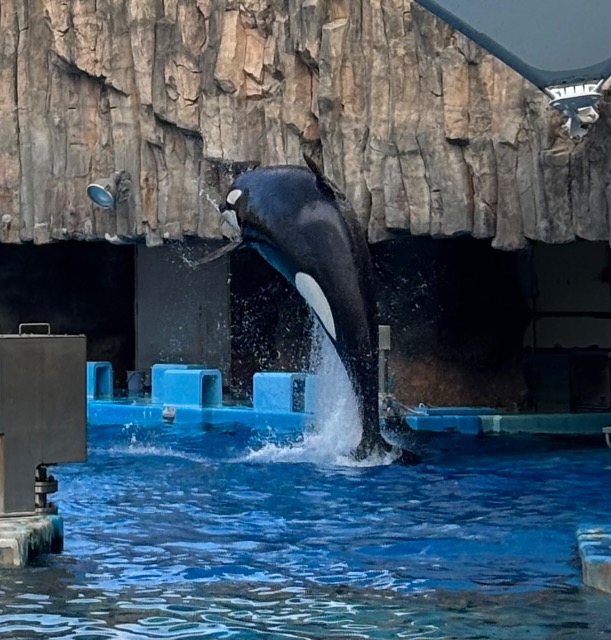 ウェザリア さま