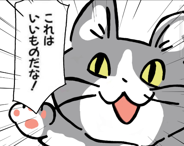 メタぬこ さま