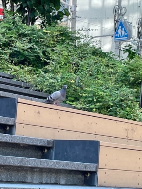 じゅじゅ丸 さま