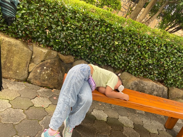 コキンちゃん さま