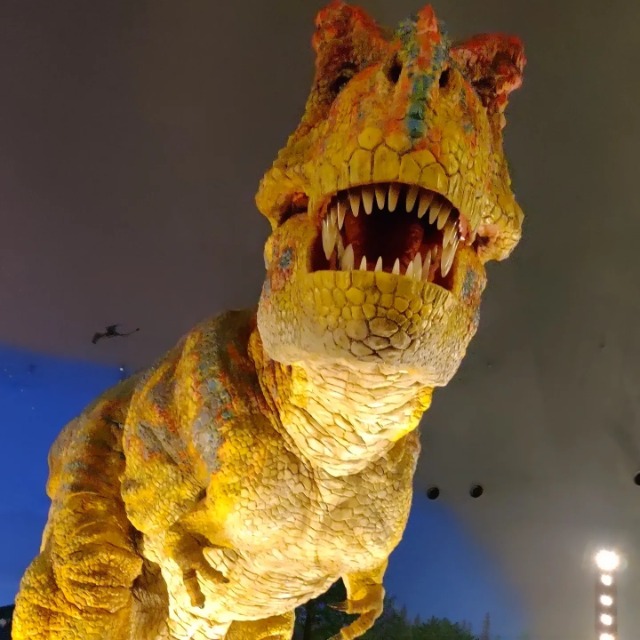 ☆Lavender ☆ さま