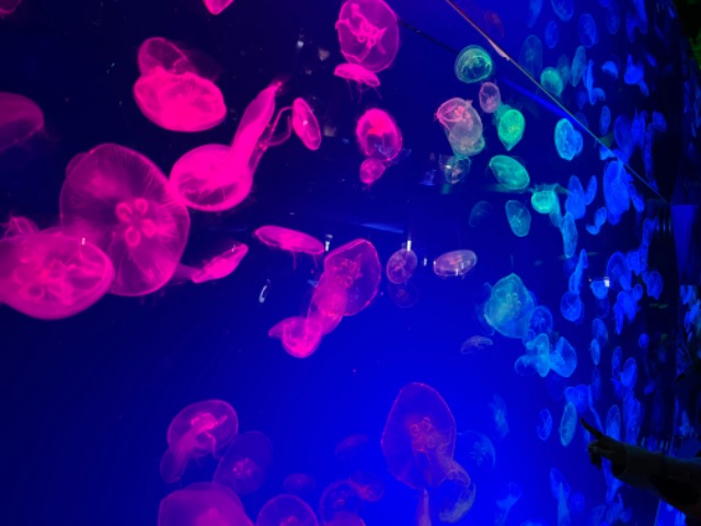 名古屋ーC さま