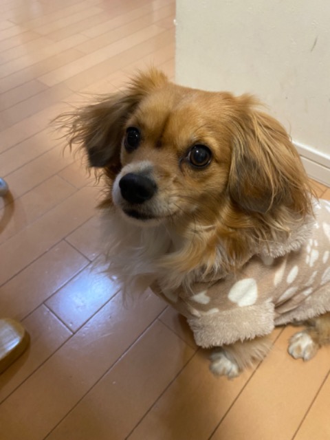 ロアックス さま