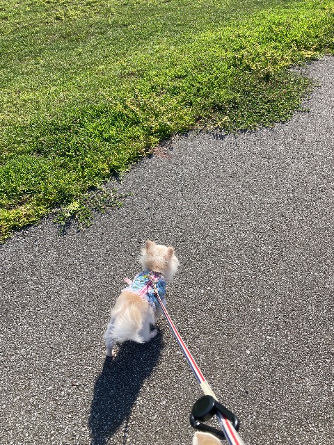 パンパースマン さま