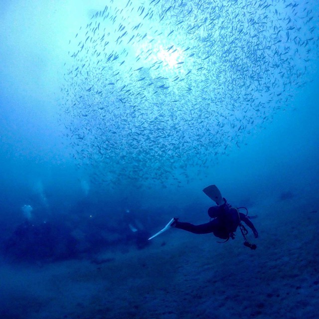 もりかわ　いつき さま