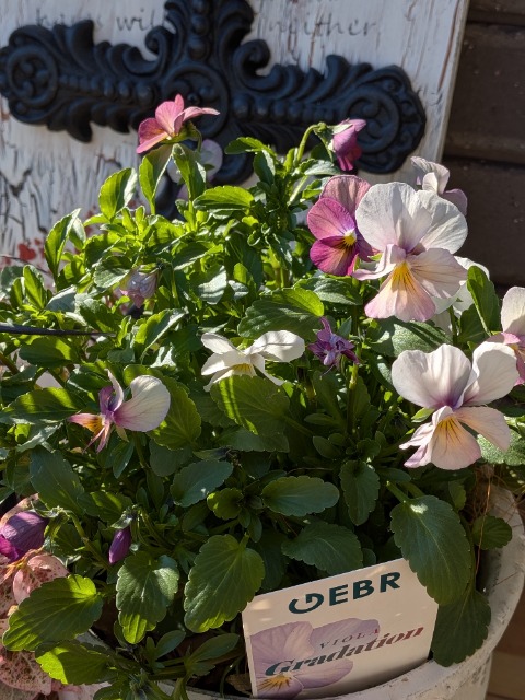 花大好き♡ さま