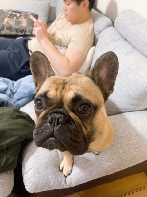 チョキやん さま