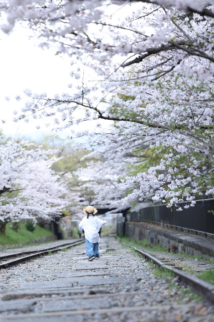 たいちゃん さま
