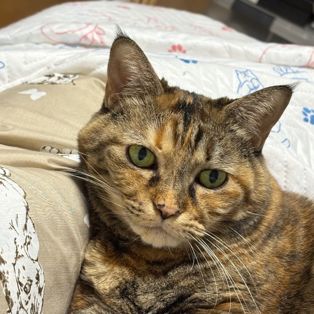 いずMOMO さま