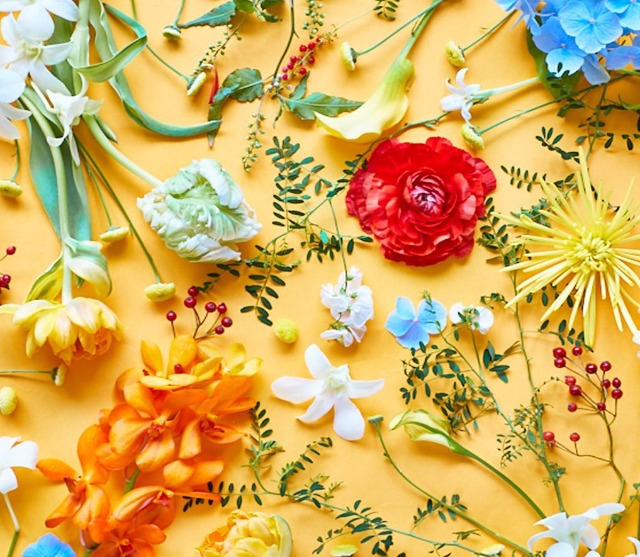 あそびましょ♪ さま