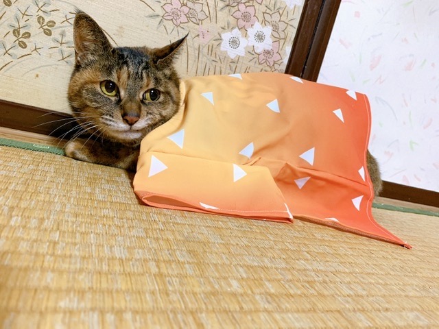 あーちゃん さま