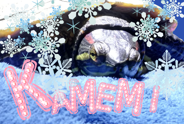 かめみさんの下僕 さま