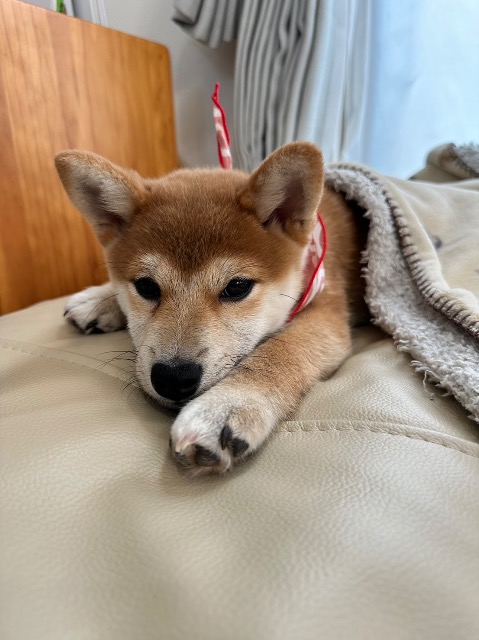 プレイヤー1 さま